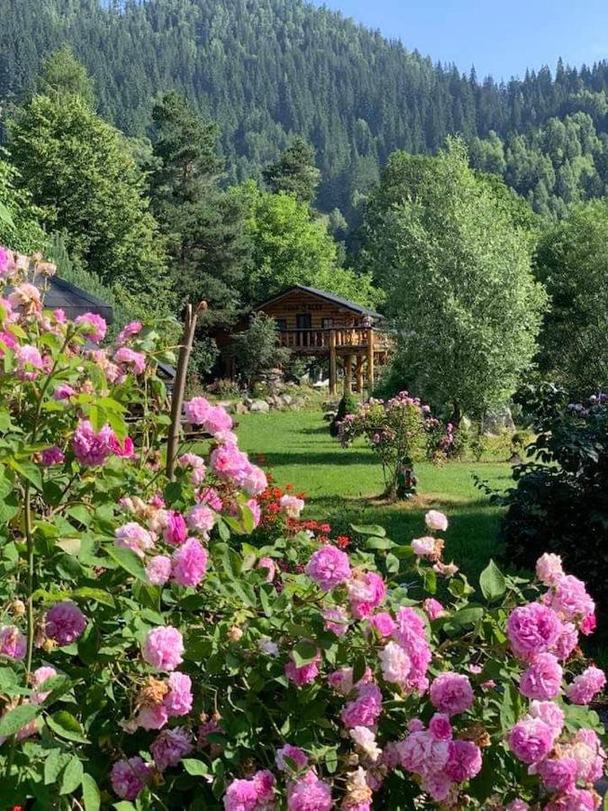 Casa Baciu Hotel Fundu Moldovei Kültér fotó