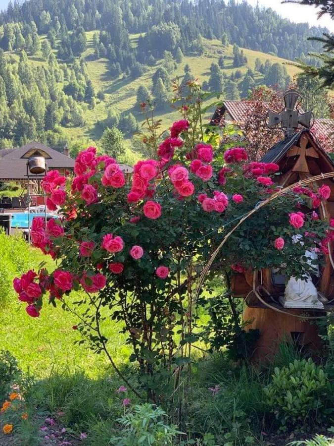 Casa Baciu Hotel Fundu Moldovei Kültér fotó