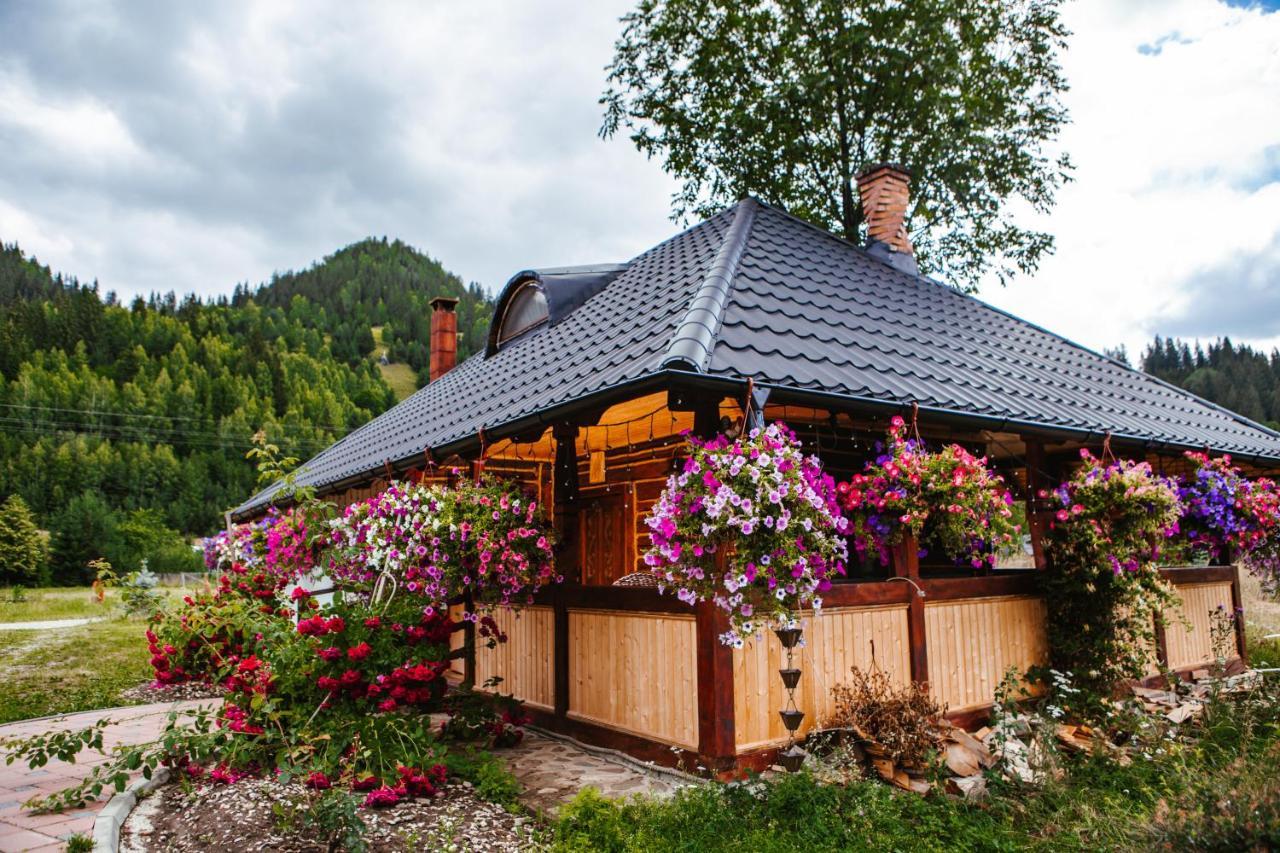 Casa Baciu Hotel Fundu Moldovei Kültér fotó